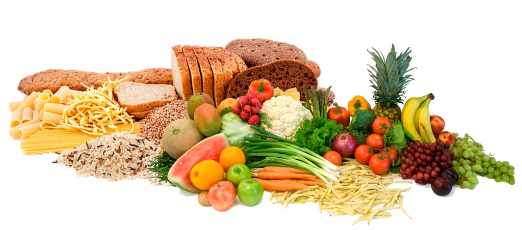 BUILDING MUSCLE THROUGH NUTRITION 